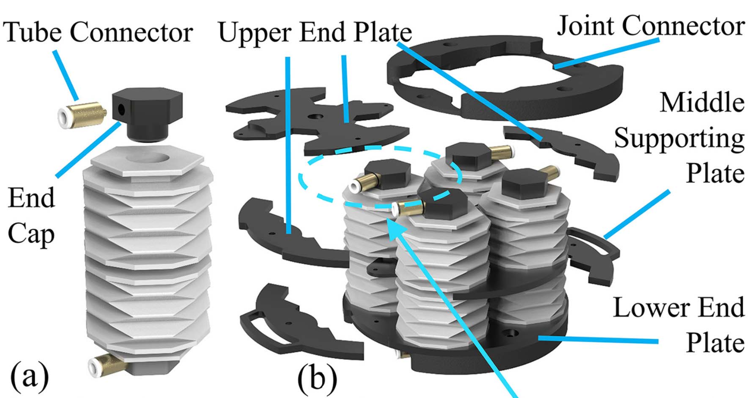 fig1